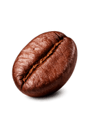 Coffee bean